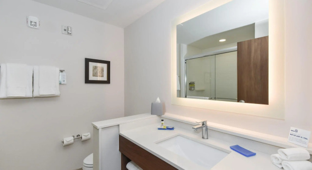 Четырёхместный номер Standard Holiday Inn Express & Suites Charlotte - Ballantyne by IHG
