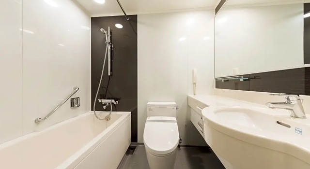 Двухместный номер Deluxe Hotel Metropolitan Tokyo Marunouchi