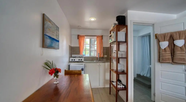 Двухместная студия Placencia Villas