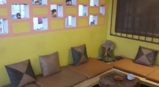 Номер Standard Cancun Guest House 1