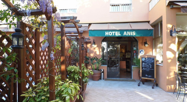 Anis
