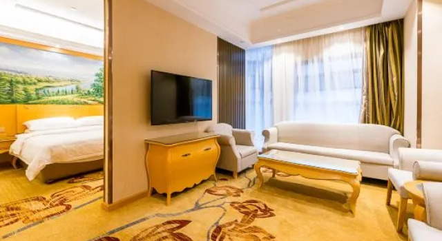 Люкс Deluxe Vienna Hotel (Nanjing Qidi Street)