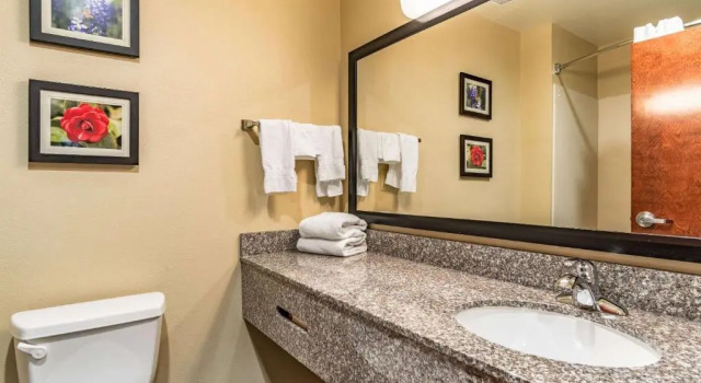 Люкс Comfort Inn & Suites Tuscumbia-Muscle Shoals