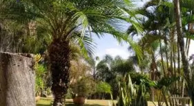 Espaço Villa Verde