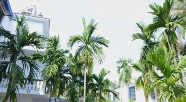 Boutique Inn Shui Yun Jian of Yalong bay, Book Boutique Sanya Hainan