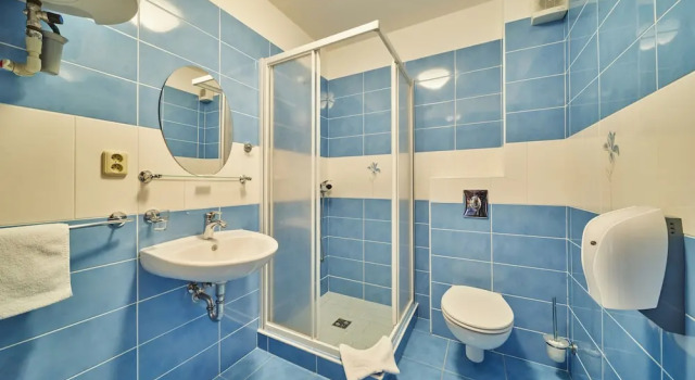 Номер Economy Wellness Resort Bouda Malá Úpa