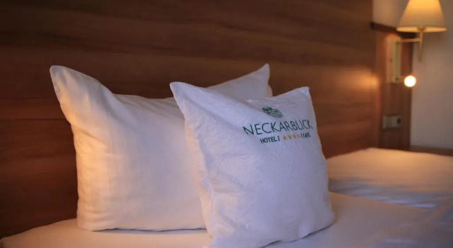 Номер Standard Hotel Neckarblick