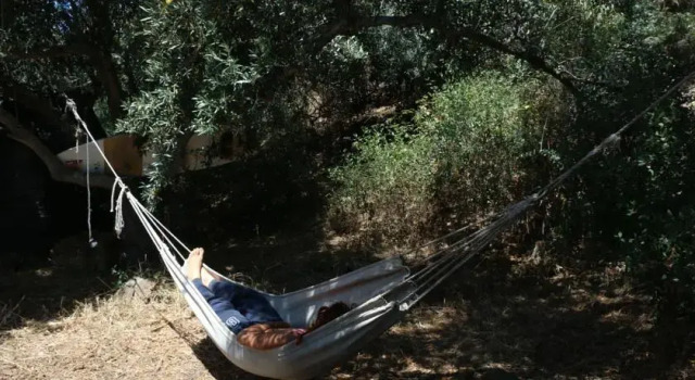 Surf N Sand Hostel, Rezerwuj Hostel Hostele w Algarve, Hostel