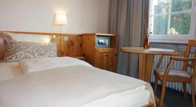 Одноместный номер Standard Akzent Waldhotel Rheingau