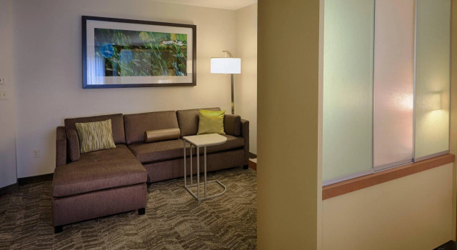 Двухместный люкс SpringHill Suites by Marriott Albany Latham-Colonie