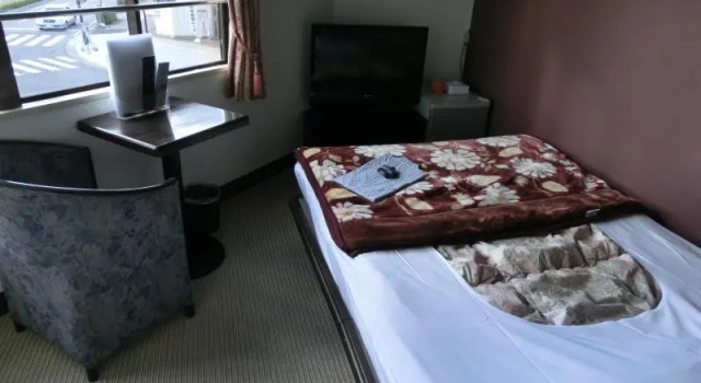 Двухместный номер Standard Biz Hotel Shiojiri Ekimae