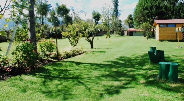 Одноместный номер Standard Hosteria Airport Garden
