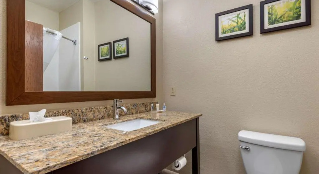 Люкс Comfort Suites Auburn near I-69