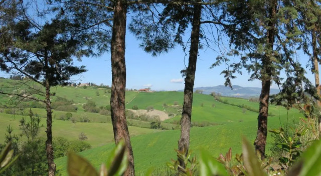 Апартаменты с 2 комнатами Agriturismo-il-Palagetto-Wohnung-Monica