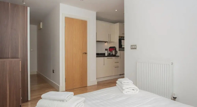 Spacious Studio Apartment near Canary Wharf
