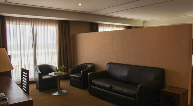 Номер Standard Hotel Soleil Business Class Celaya