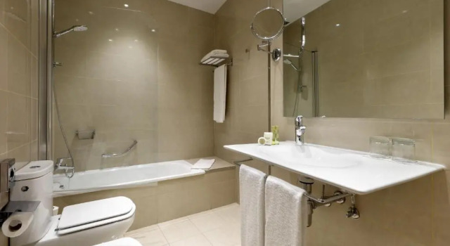 Трёхместный номер Standard Eurostars Regina