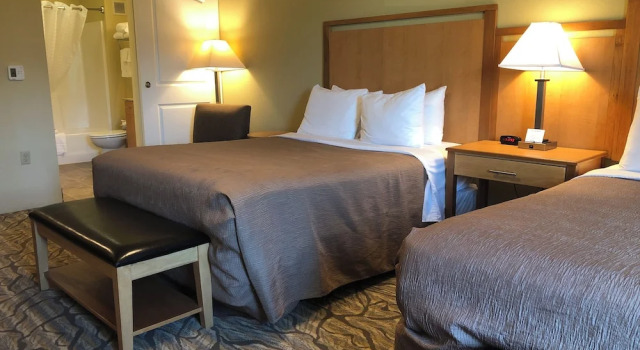 Четырёхместная студия Aspen Suites Hotel Juneau