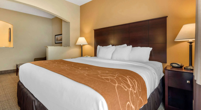 Suite doppia Comfort Suites near Route 66