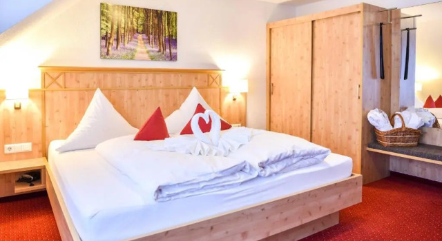 Двухместный номер Standard Burg Hotel Feldberg