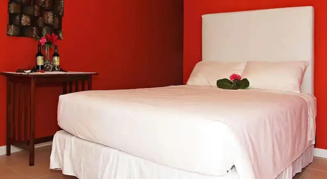 Standard Double room Two Turtles Inn