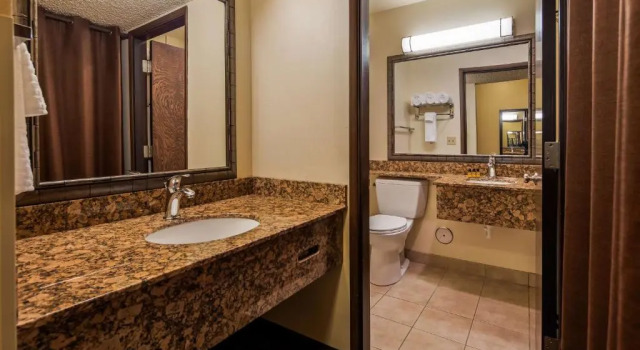 Номер Standard с видом на внутренний двор Best Western Plus Tree House