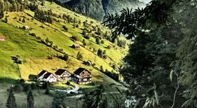 Carpatica Lodge, Rezerwuj Hotel Hotele w Prahova Valley z parkingiem, Parking
