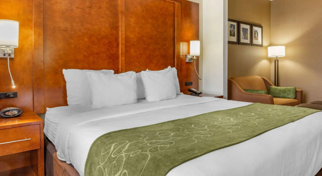 Двухместный номер Standard Comfort Suites Dover University Area