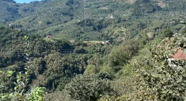 House in TRABZON, Забронировать Апартаменты/квартира Трабзон 