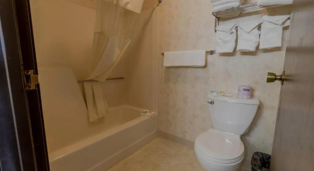 Двухместный номер Standard Thunderbird Lodge