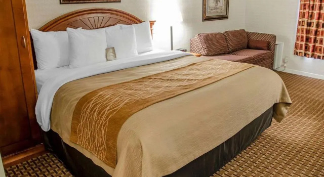 Номер Standard Spark By Hilton Toronto Markham