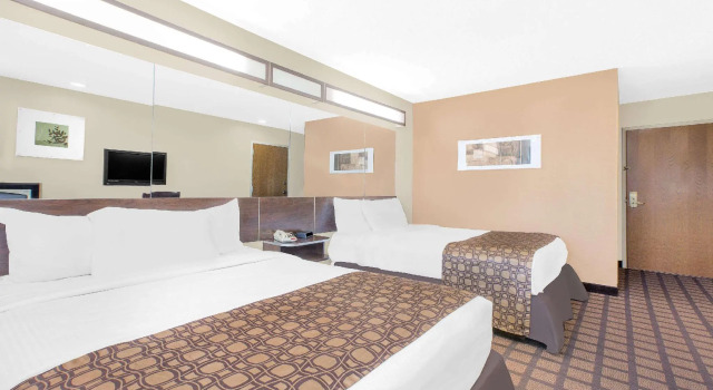 Четырёхместный номер Standard Microtel Inn & Suites by Wyndham Franklin