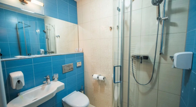Номер Standard Alexandra Wellness Hotel