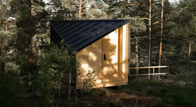 Номер Standard Hilltop Forest