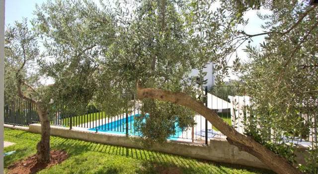 Divine Dalmatia Apartments, Забронировать Апартаменты/квартира Отели Трибунь с бассейном, рядом с Пристань для яхт Трибуни, Бассейн
