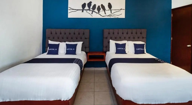Camera doppia Standard Cinco22 Hotel B&B
