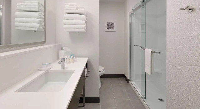 Четырёхместный номер Standard Hampton Inn by Hilton Irvine Spectrum Lake Forest