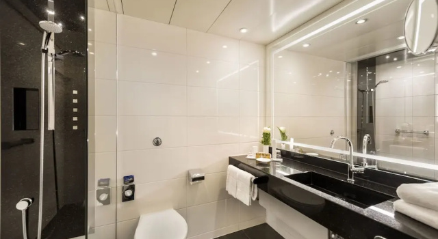 Двухместный номер Classic Maritim Hotel Bonn