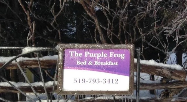 The Purple Frog Bed & Breakfast, Réserver Hôtel  
