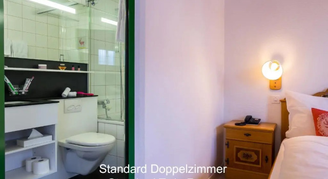 Camera doppia Standard Hotel Hirschen - Grindelwald