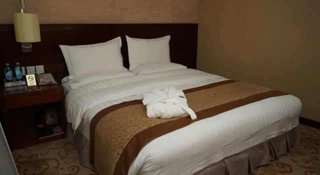 Номер Standard Soluxe Hotel Алматы