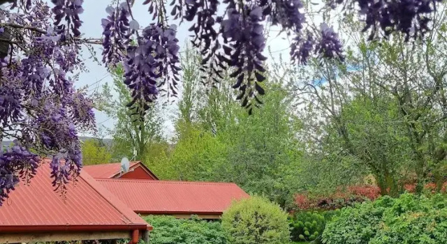Коттедж Burn Cottage Retreat