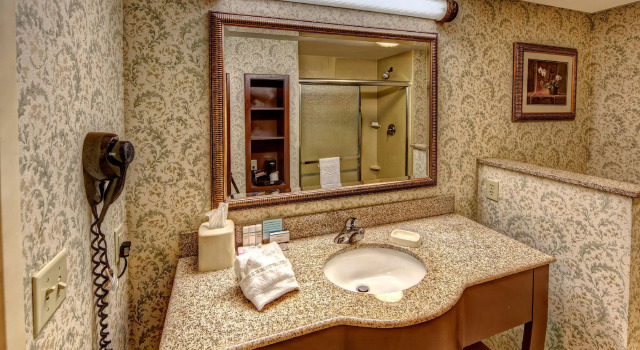 Номер Standard Hampton Inn Manning