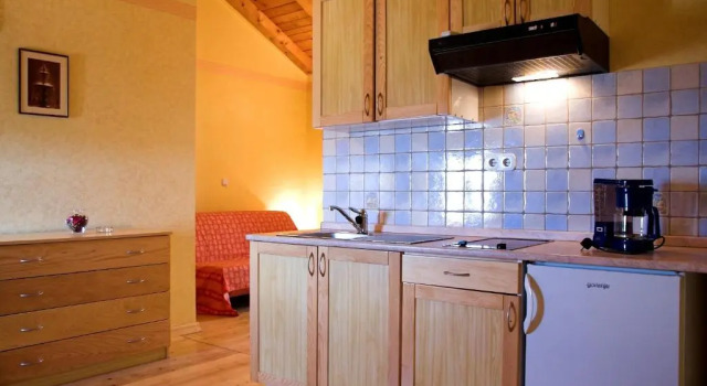 Апартаменты c 1 комнатой с балконом и с видом на море Villa Visnjan Residence