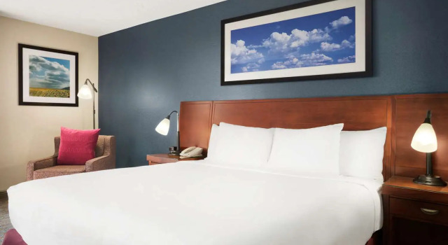 Номер Standard DoubleTree by Hilton DFW Airport North