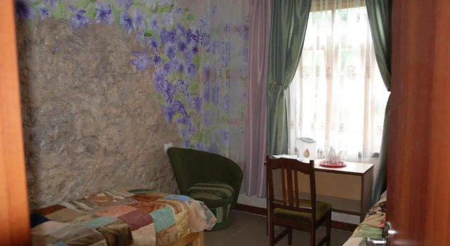 Двухместный номер Standard с видом на горы LAILA Guest House