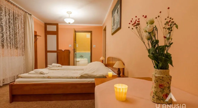 Номер Deluxe Willa u Anusia Jacuzzi & Sauna