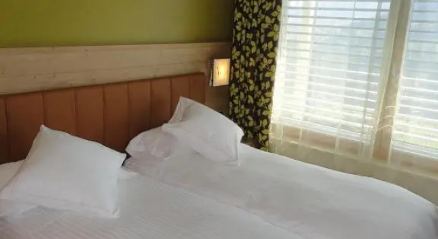 Номер Standard Viridis Hotel
