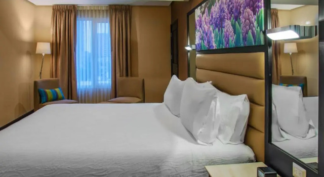 Двухместный номер с видом на город Hilton Garden Inn Guatemala City