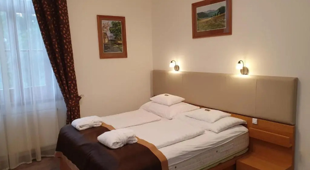 Двухместный номер Standard Főnix Wellness Resort
